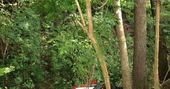 Podsumowanie sezonu 2011